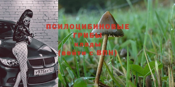 бошки Бугульма